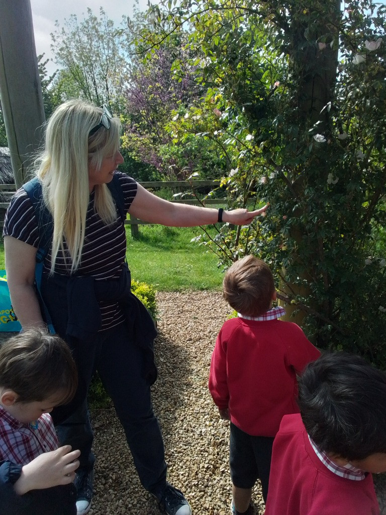 Apple STEM experiments and Flower Hunts, Copthill School