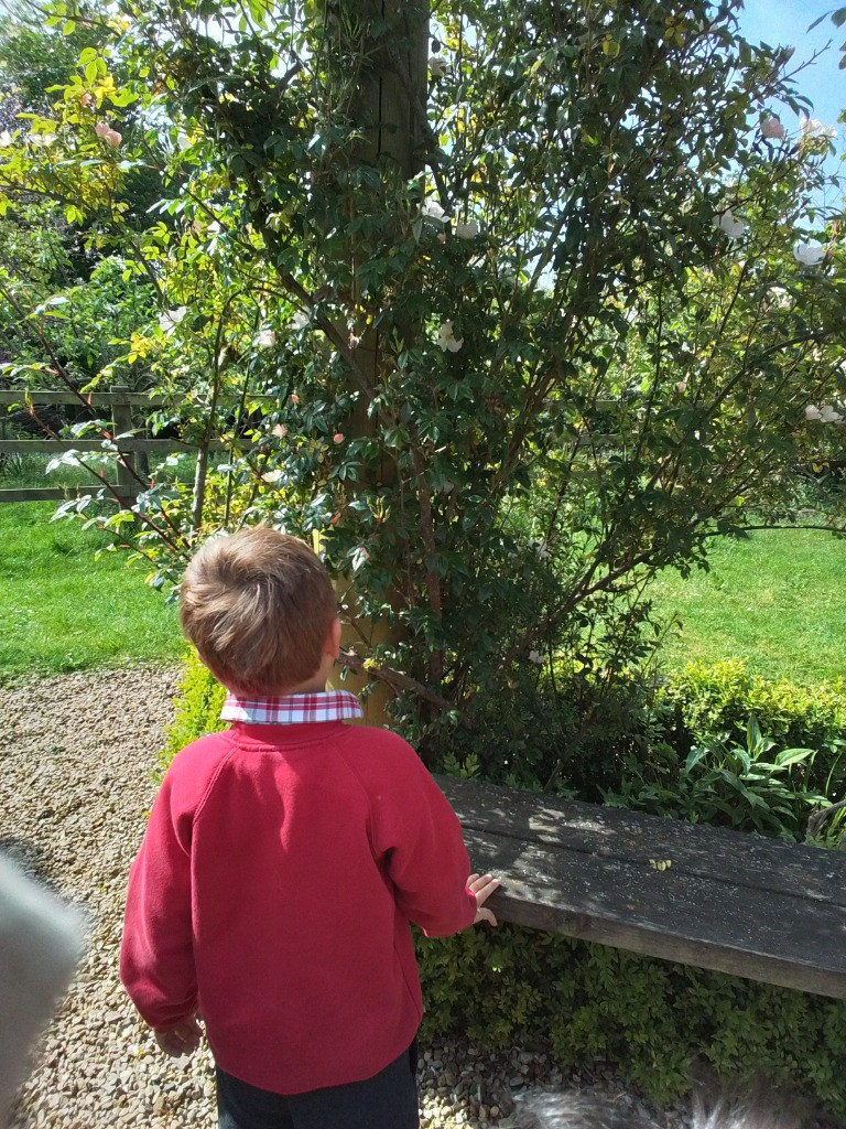 Apple STEM experiments and Flower Hunts, Copthill School