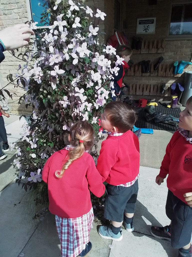 Apple STEM experiments and Flower Hunts, Copthill School