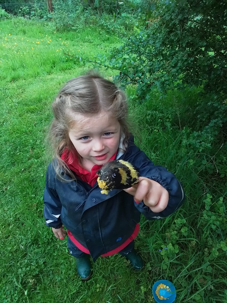 Busy Bees and Oral Hygiene, Copthill School