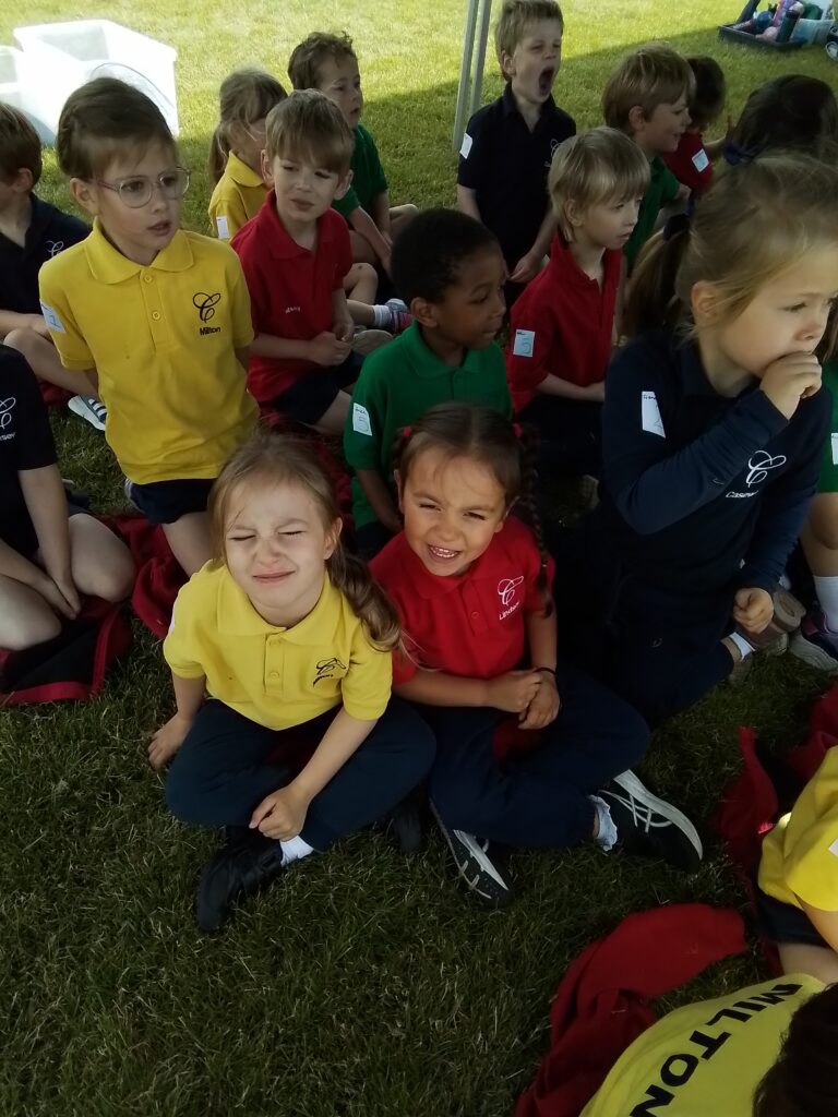 Sports Day!, Copthill School