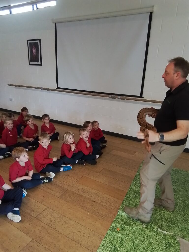 Animals from around the world!, Copthill School