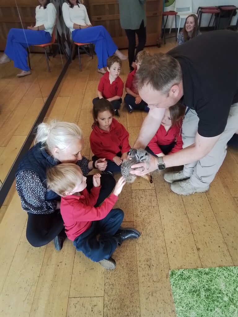 Animals from around the world!, Copthill School