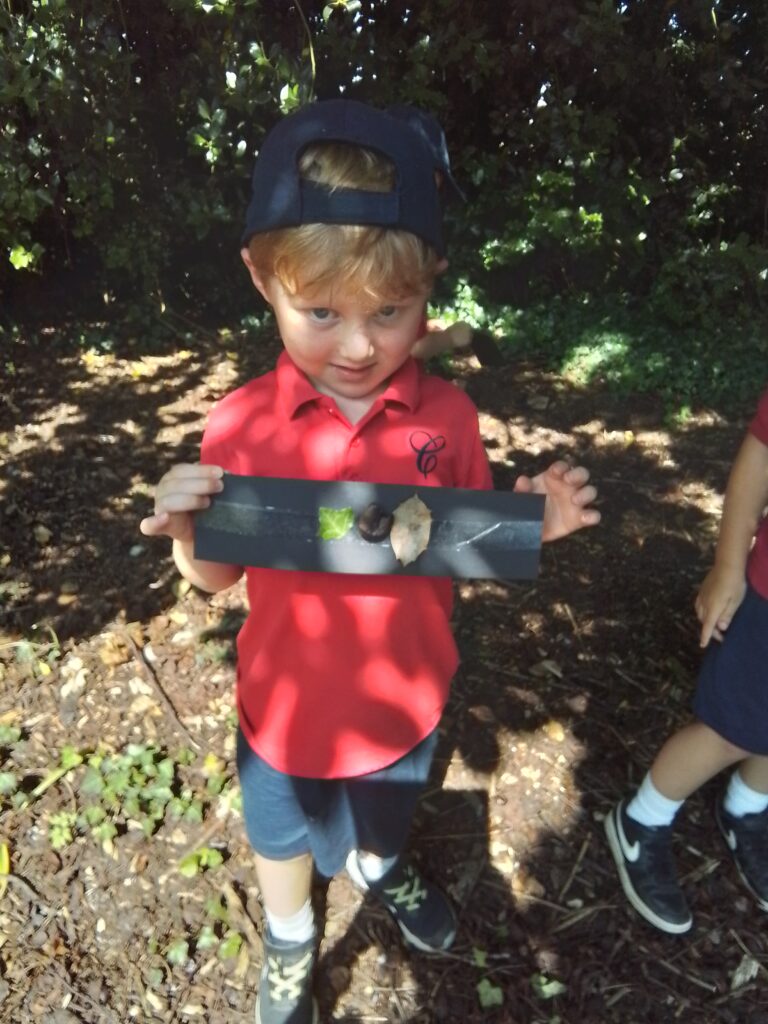 Sacrewell Farm Adventures!, Copthill School