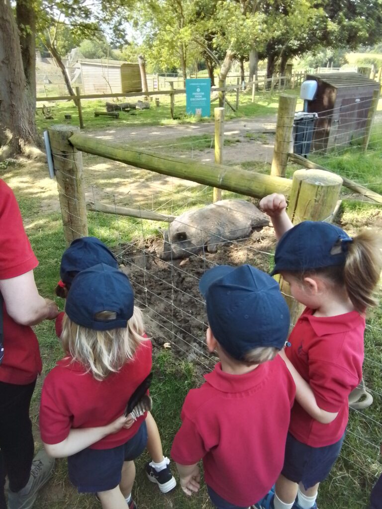 Sacrewell Farm Adventures!, Copthill School