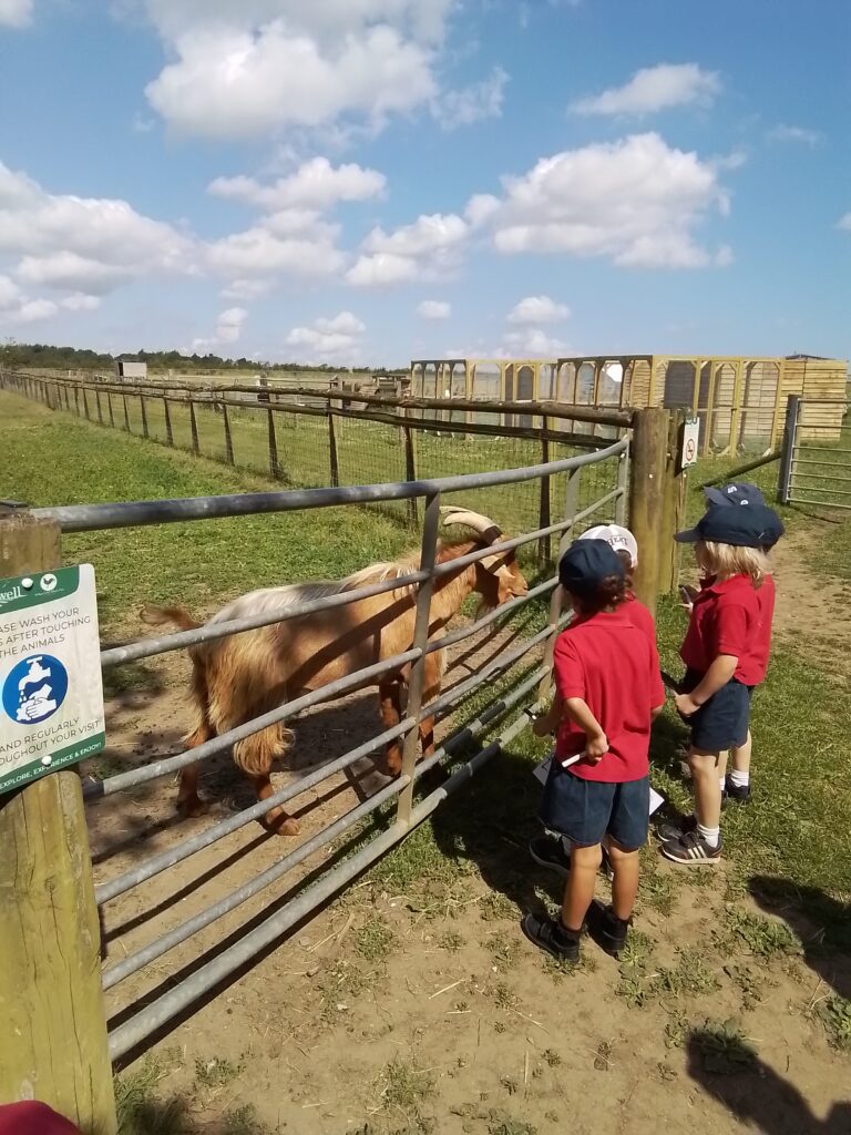 Sacrewell Farm Adventures!, Copthill School