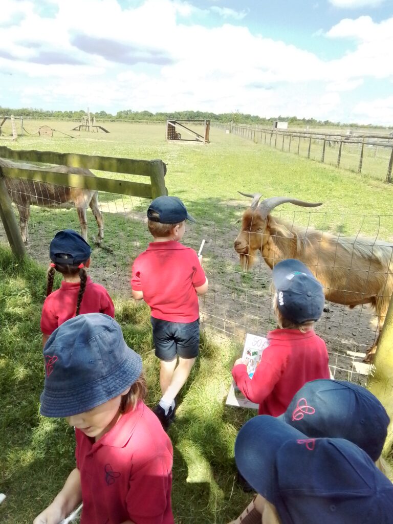 Sacrewell Farm Adventures!, Copthill School