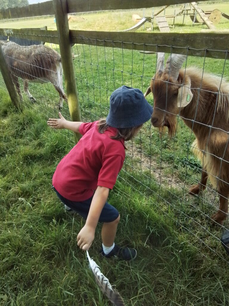 Sacrewell Farm Adventures!, Copthill School