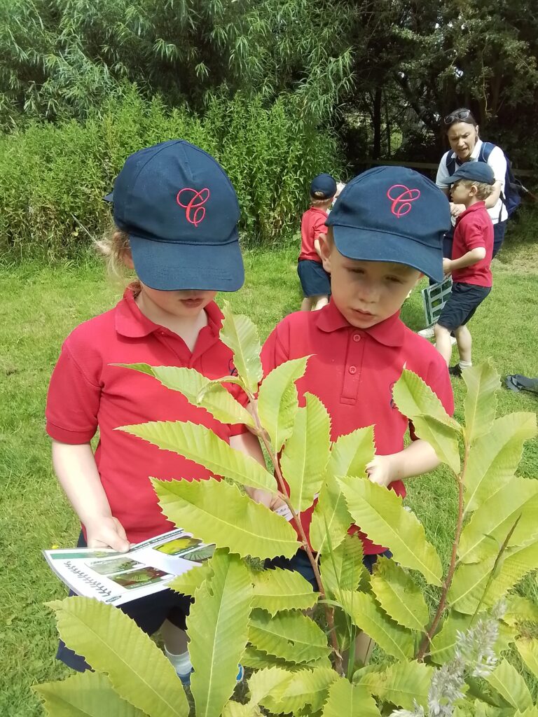 Sacrewell Farm Adventures!, Copthill School