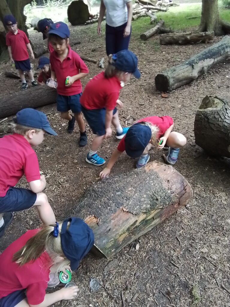 Sacrewell Farm Adventures!, Copthill School