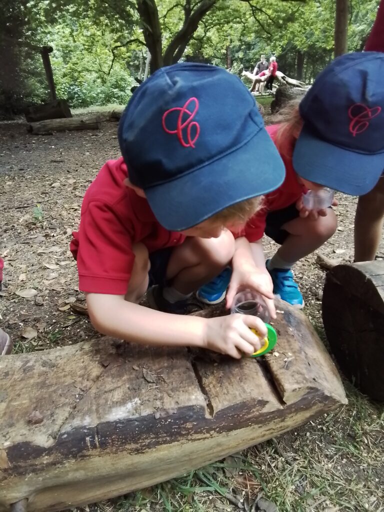 Sacrewell Farm Adventures!, Copthill School