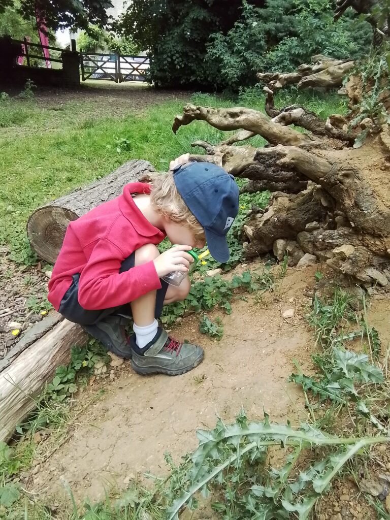 Sacrewell Farm Adventures!, Copthill School