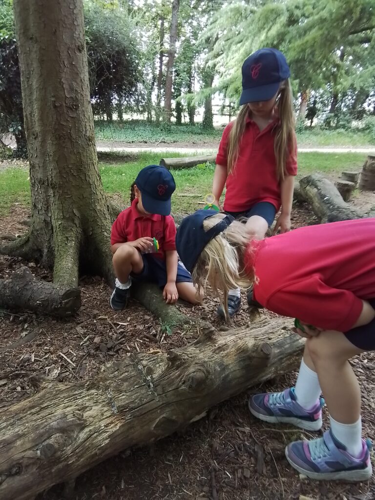 Sacrewell Farm Adventures!, Copthill School