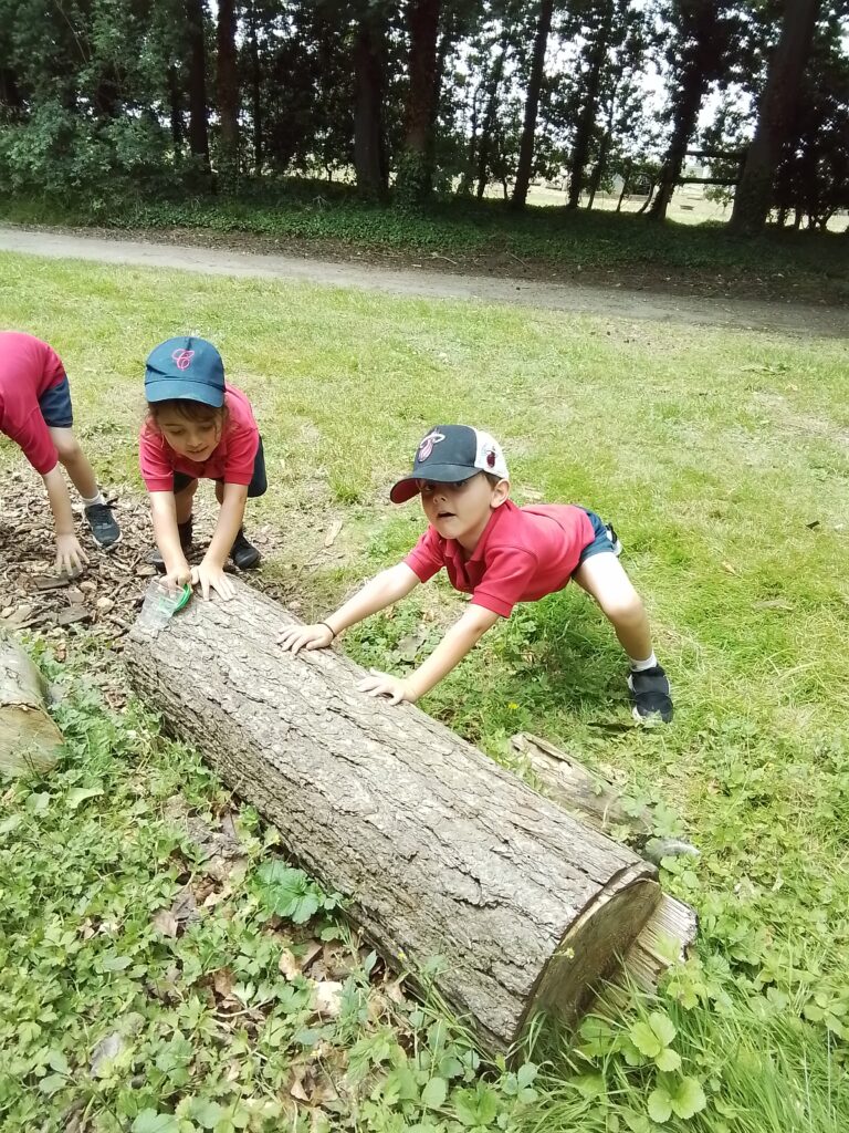 Sacrewell Farm Adventures!, Copthill School