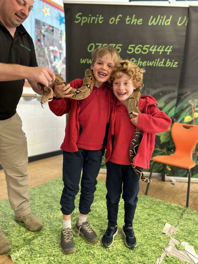 Wild things!, Copthill School