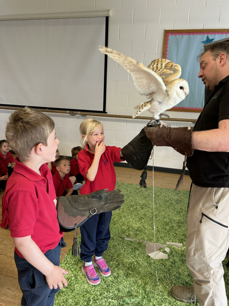 Wild things!, Copthill School