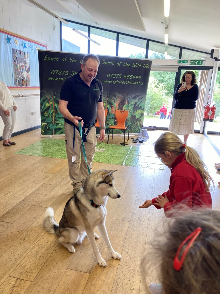 Wild things!, Copthill School