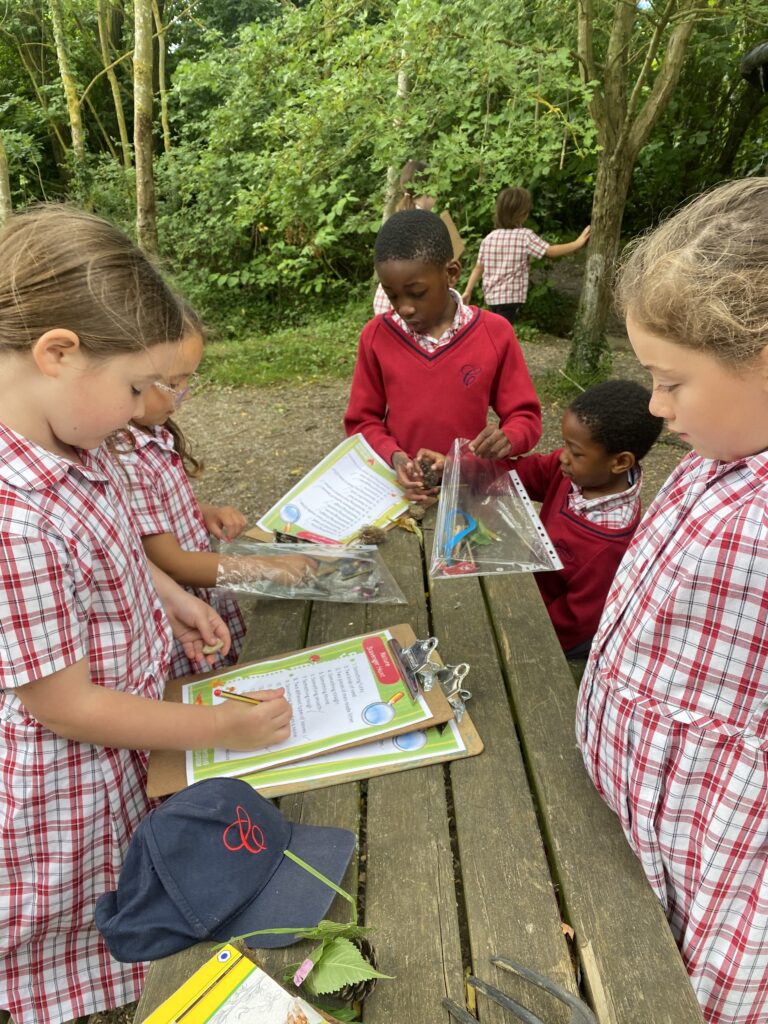 Summer has arrived!, Copthill School