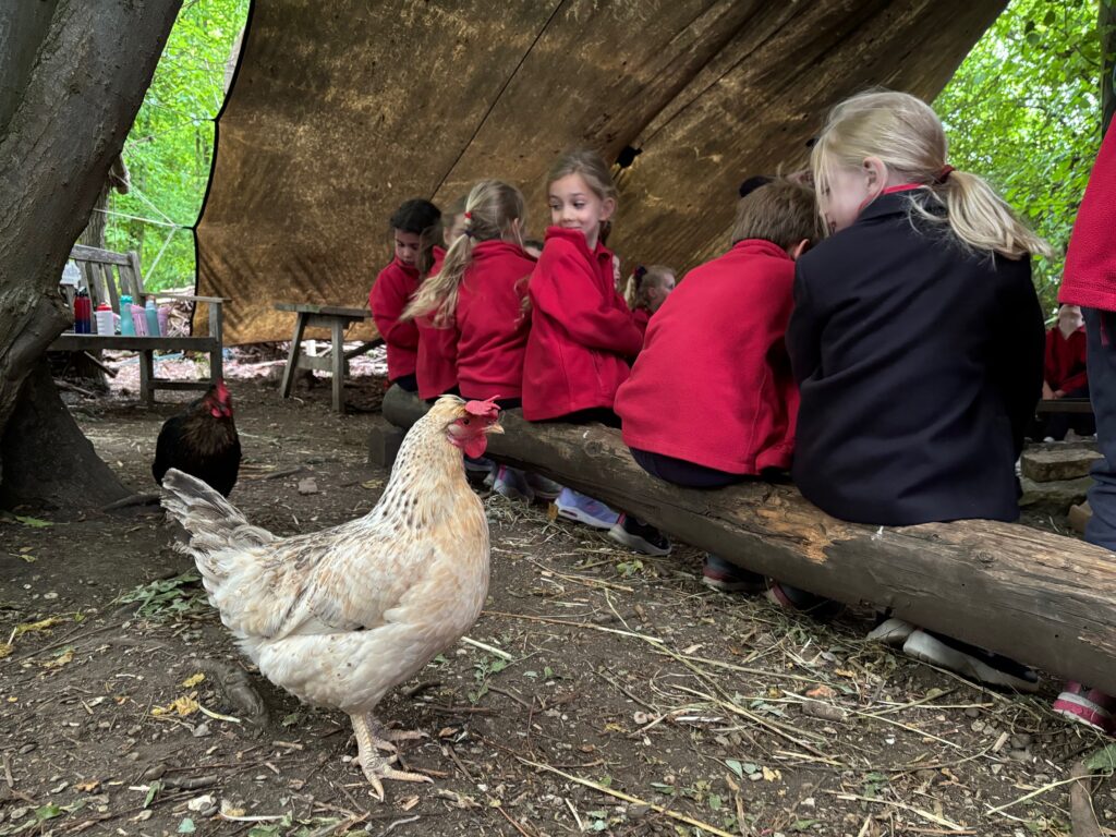 Bog Baby Creations&#8230;, Copthill School