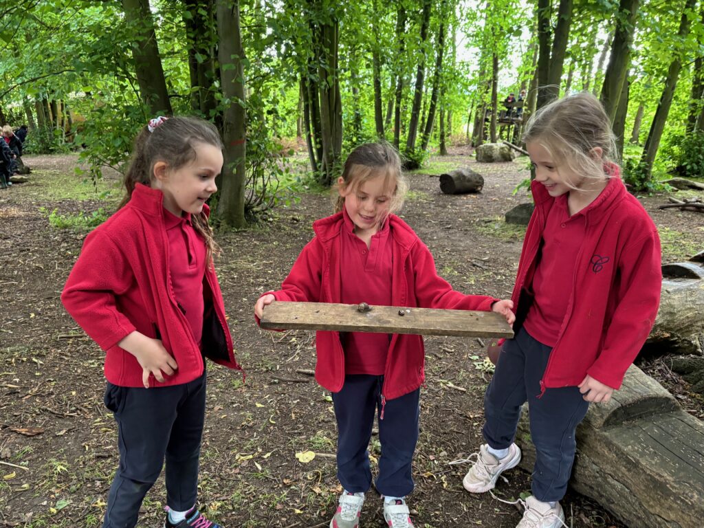 Bog Baby Creations&#8230;, Copthill School