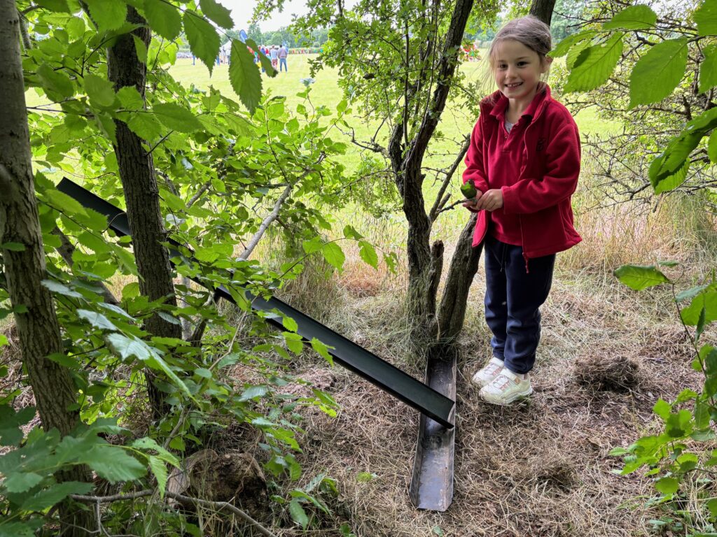 Bog Baby Creations&#8230;, Copthill School