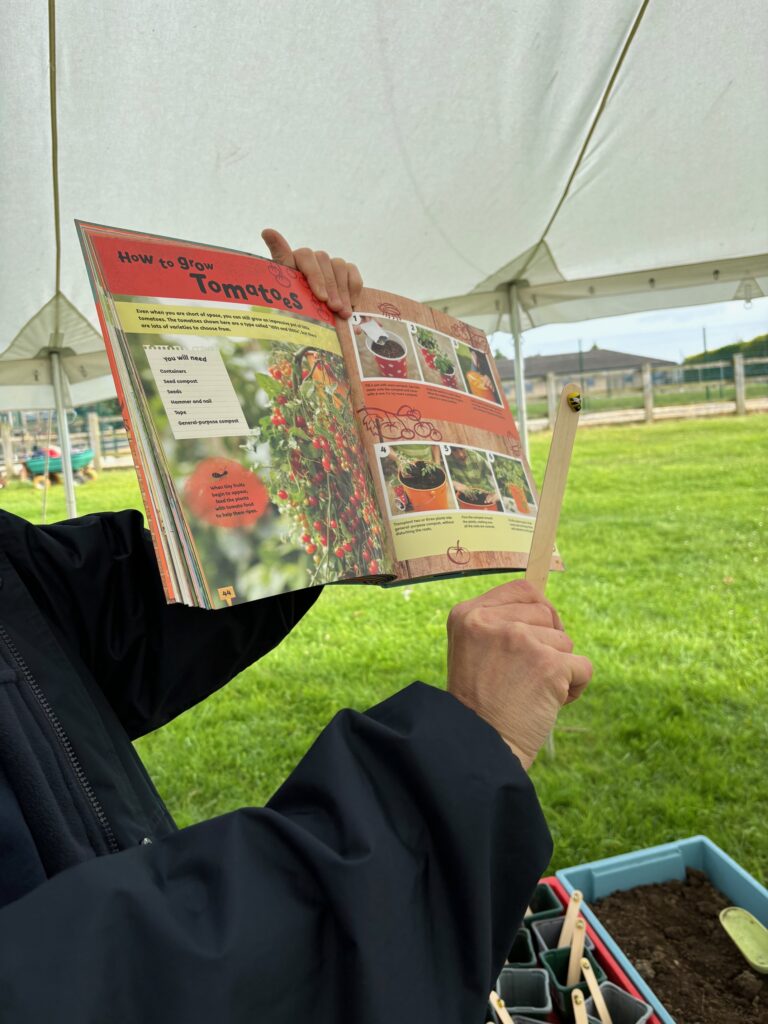 Tomato seeds&#8230;watch this space!, Copthill School