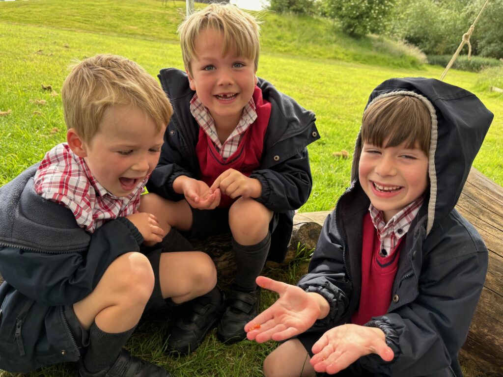 Tomato seeds&#8230;watch this space!, Copthill School