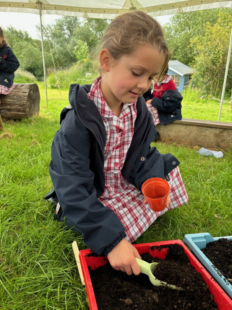 Tomato seeds&#8230;watch this space!, Copthill School