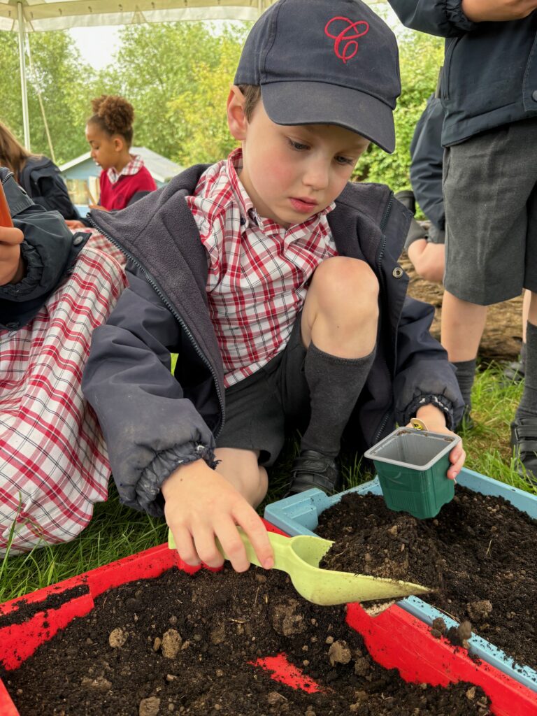 Tomato seeds&#8230;watch this space!, Copthill School