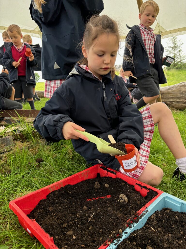 Tomato seeds&#8230;watch this space!, Copthill School