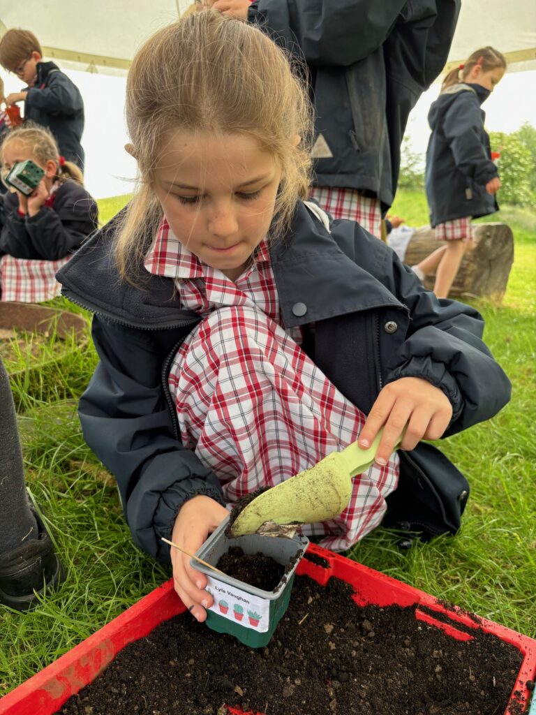 Tomato seeds&#8230;watch this space!, Copthill School