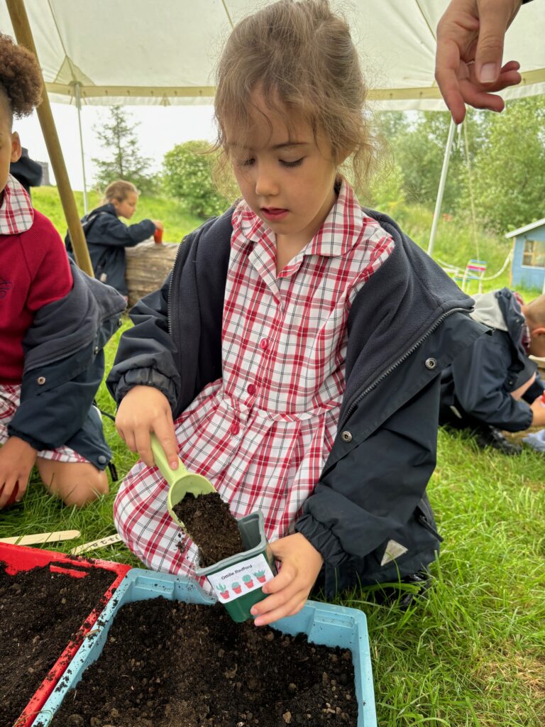 Tomato seeds&#8230;watch this space!, Copthill School