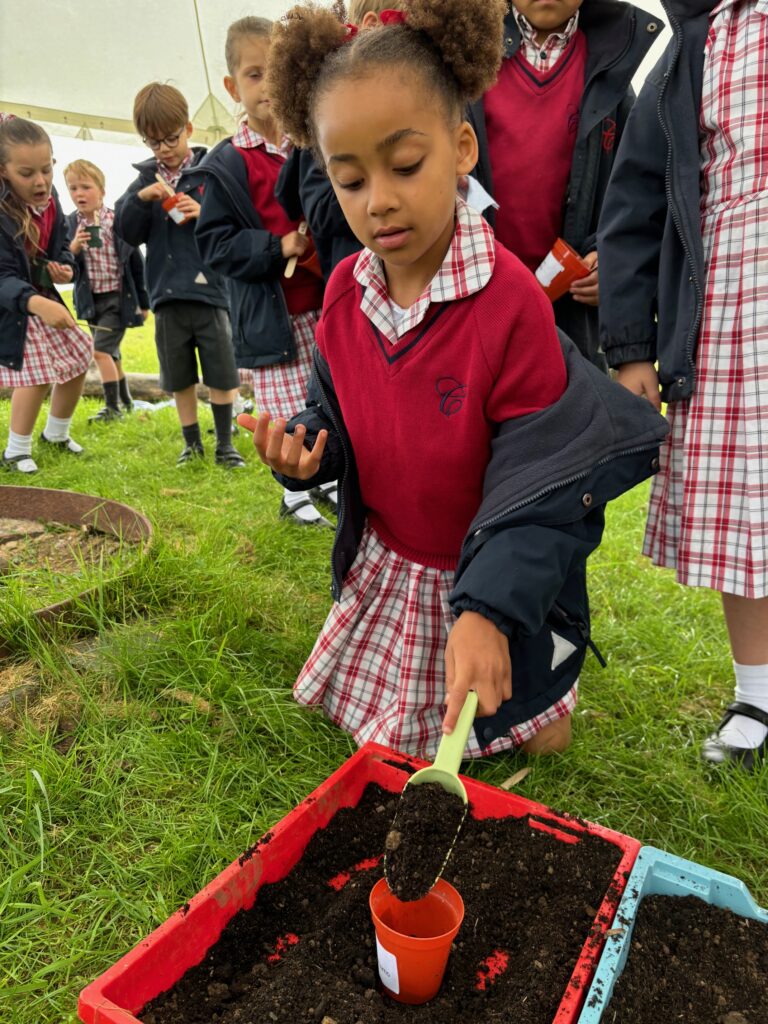 Tomato seeds&#8230;watch this space!, Copthill School