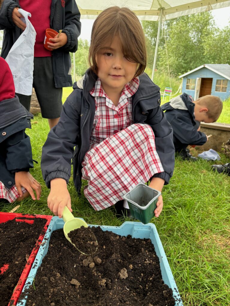 Tomato seeds&#8230;watch this space!, Copthill School