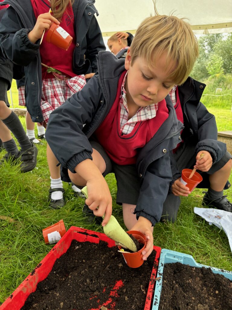 Tomato seeds&#8230;watch this space!, Copthill School