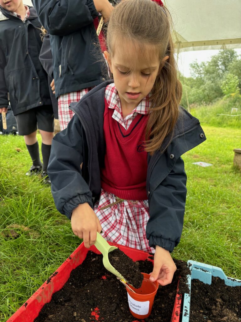 Tomato seeds&#8230;watch this space!, Copthill School