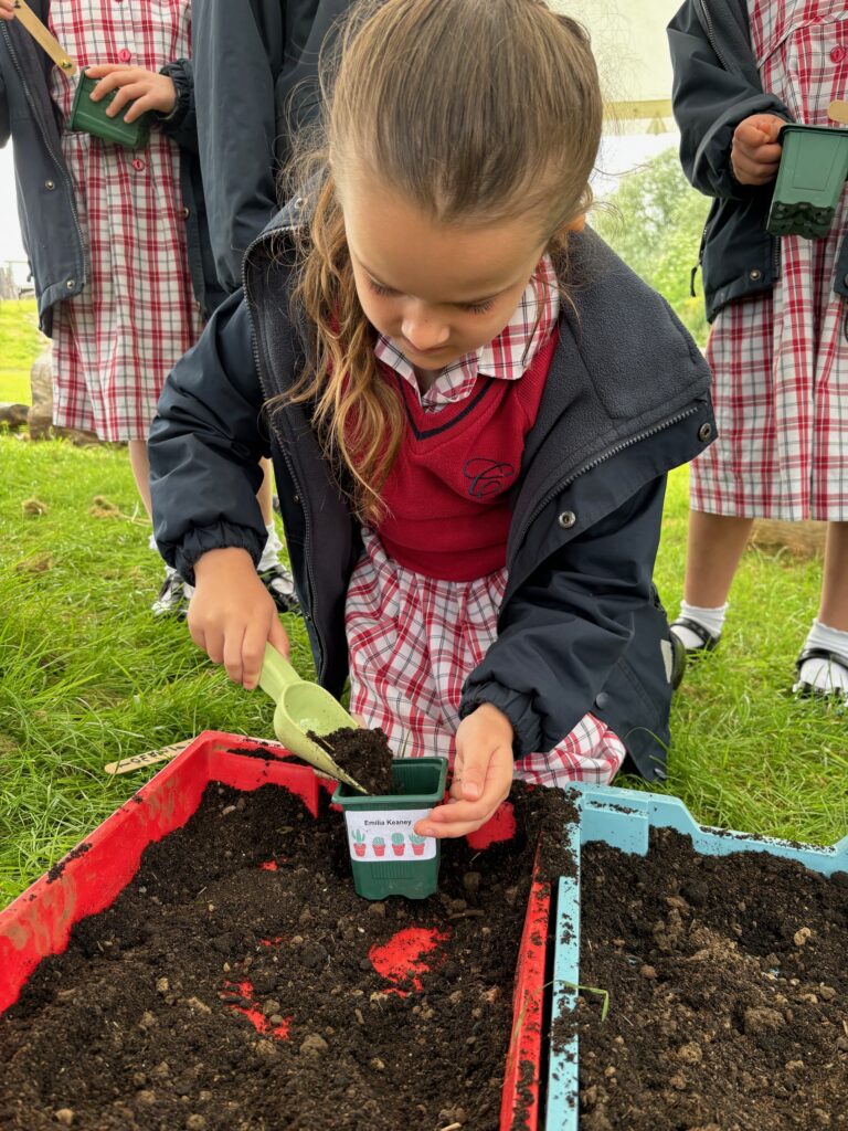 Tomato seeds&#8230;watch this space!, Copthill School