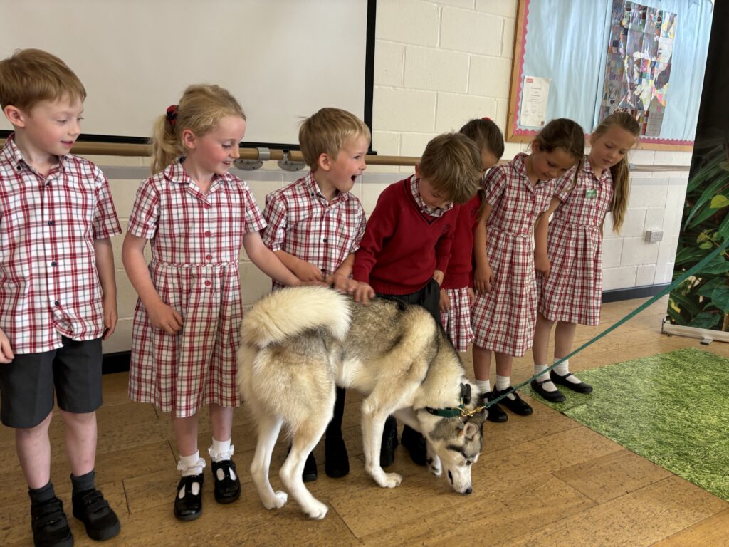 Spirit of the world experience and a host of inquisitive and daring year 1’s!, Copthill School