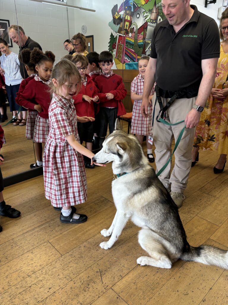 Spirit of the world experience and a host of inquisitive and daring year 1’s!, Copthill School