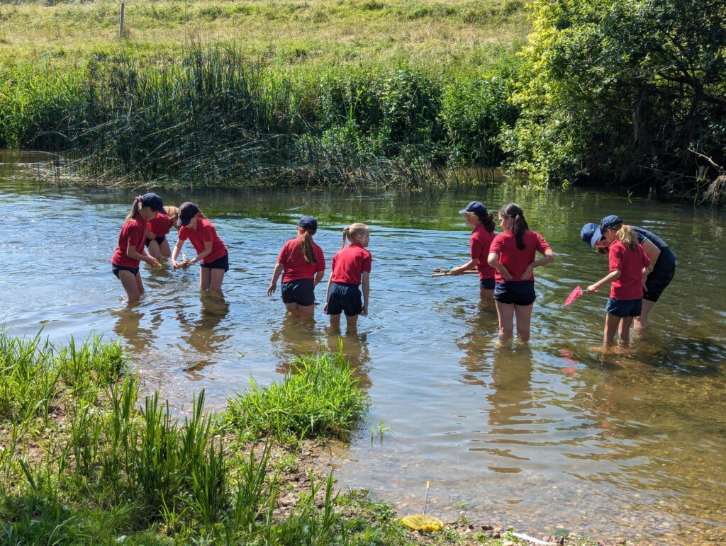 Summer has arrived!, Copthill School