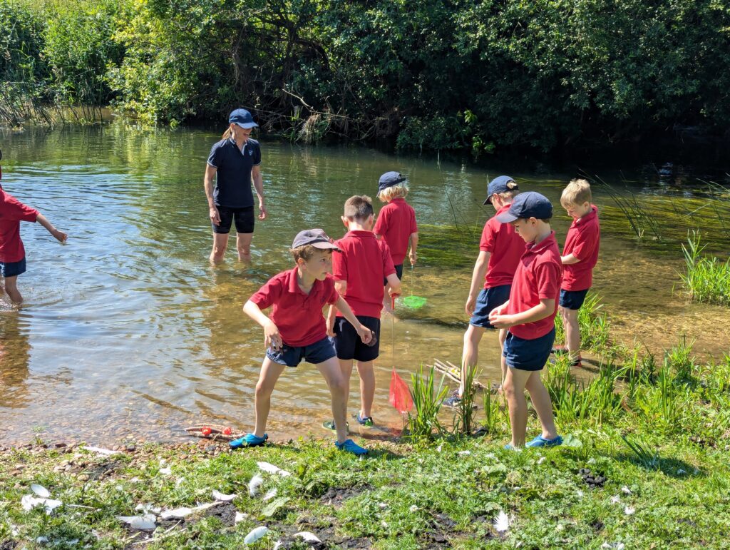 Summer has arrived!, Copthill School