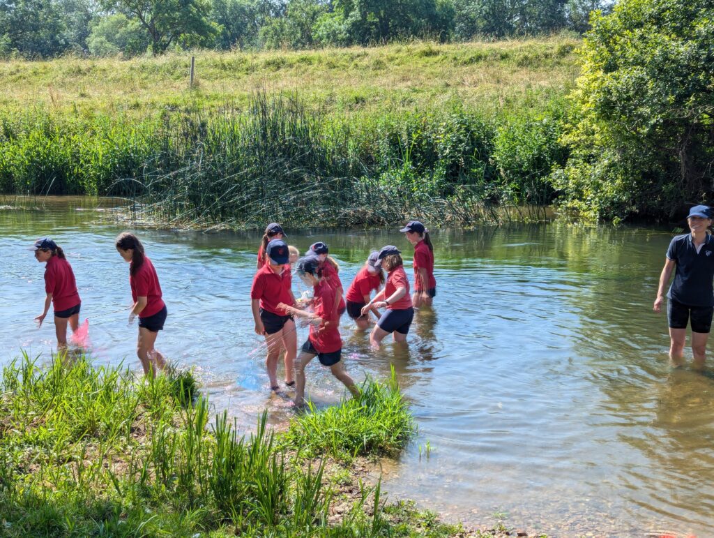 Summer has arrived!, Copthill School