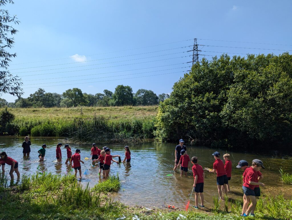 Summer has arrived!, Copthill School