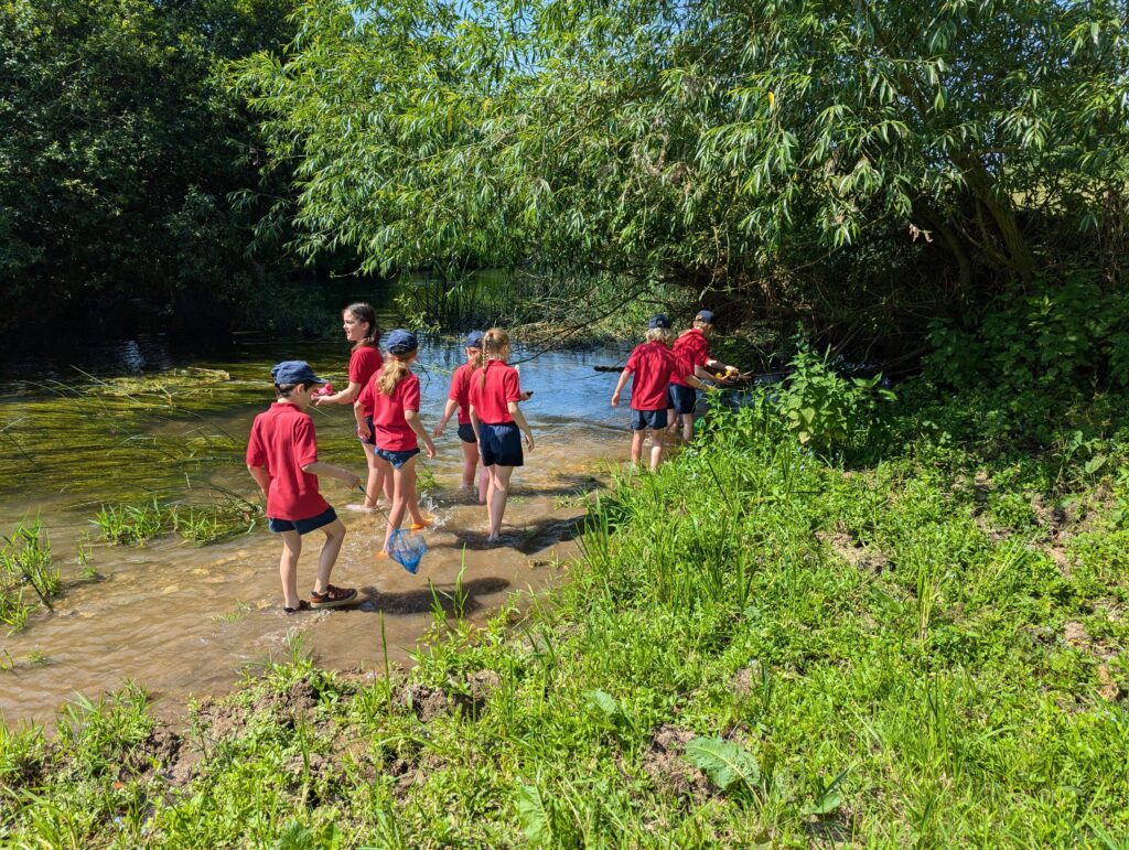 Summer has arrived!, Copthill School