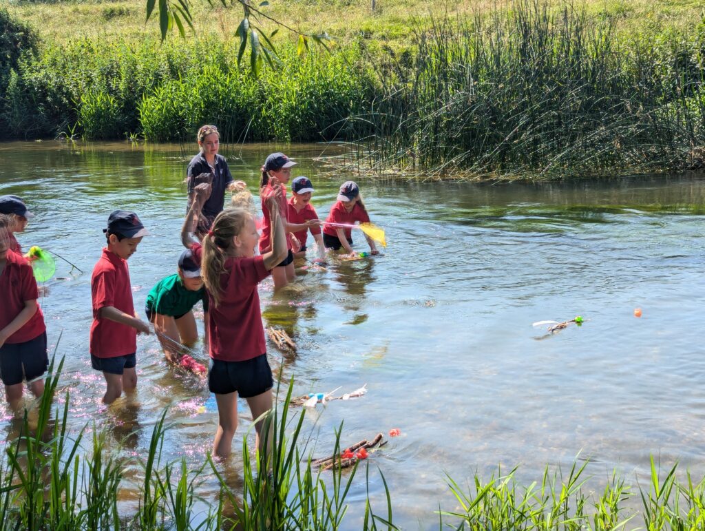 Summer has arrived!, Copthill School