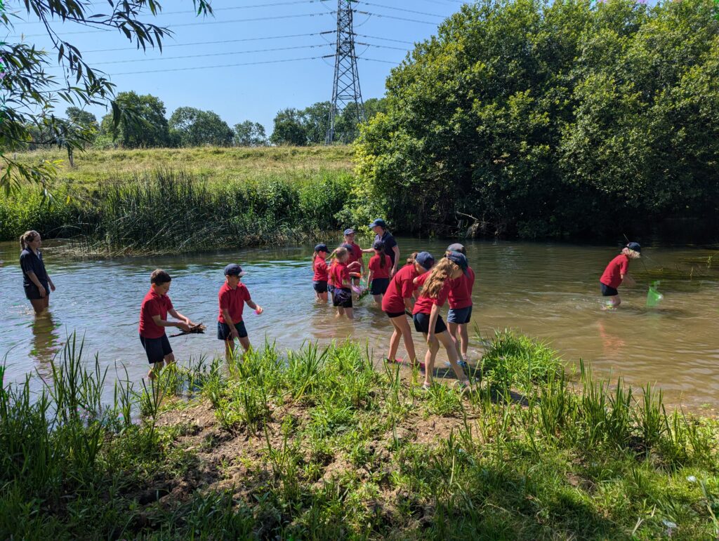 Summer has arrived!, Copthill School