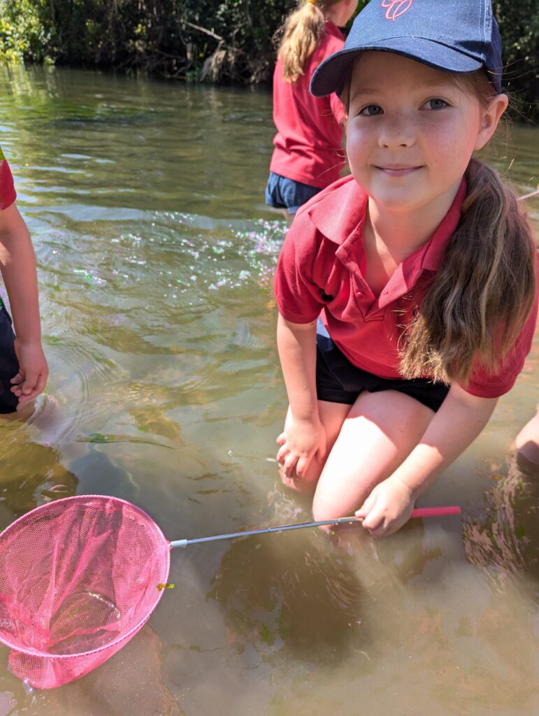 Summer has arrived!, Copthill School