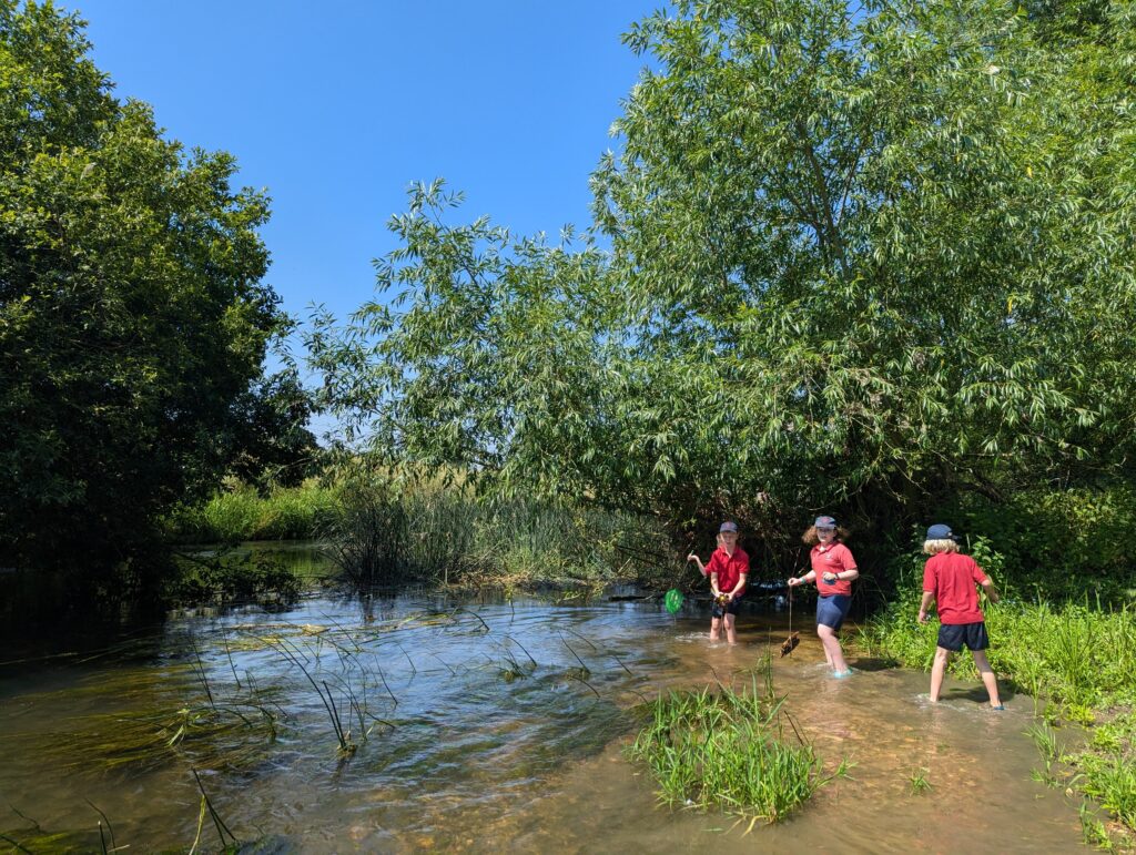 Summer has arrived!, Copthill School