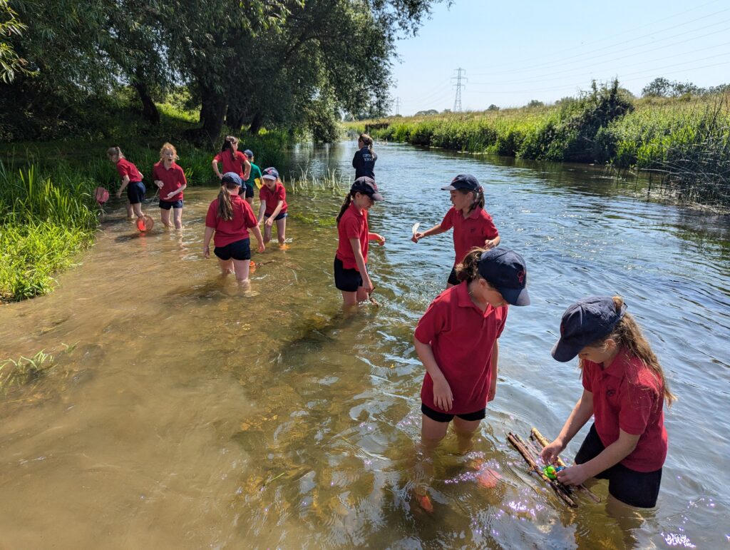 Summer has arrived!, Copthill School