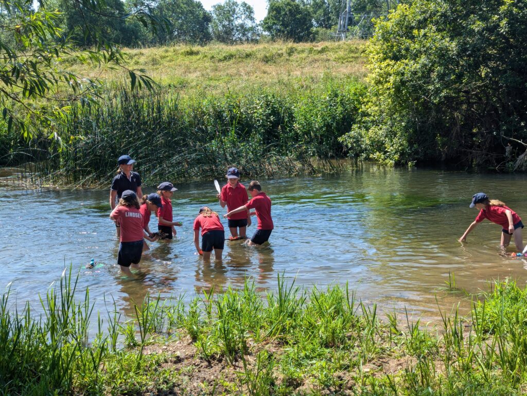 Summer has arrived!, Copthill School